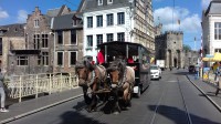 La ville de Gand en tramway à chevaux