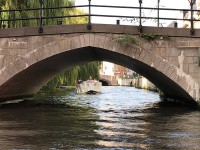 Gin Tonic & Mocktail Experience Gin Tonic & Mocktail Experience